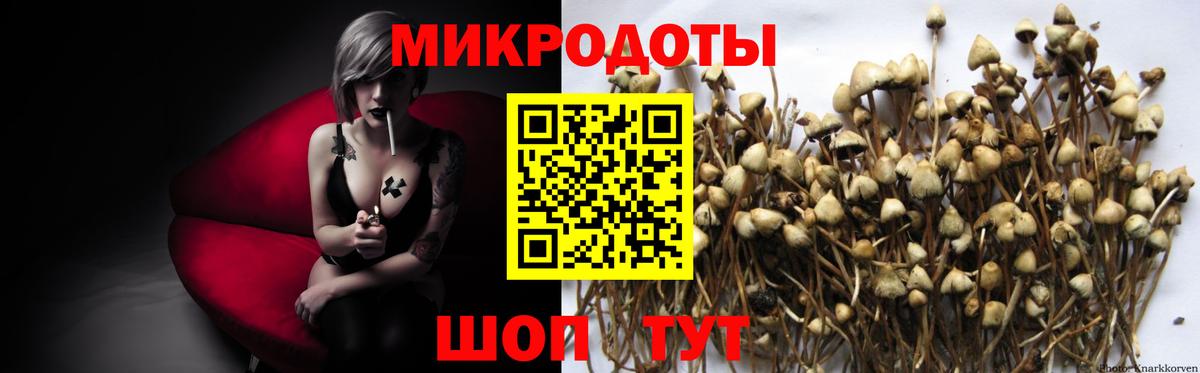 Псилоцибиновые грибы ЛСД  Вход с VPN  Галлюциногенные грибы Psilocybe  Сланцы 